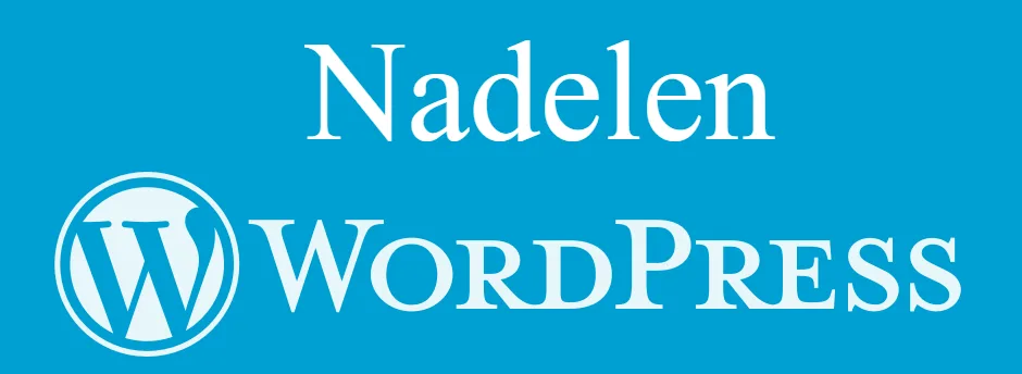 nadelen wordpress webshop