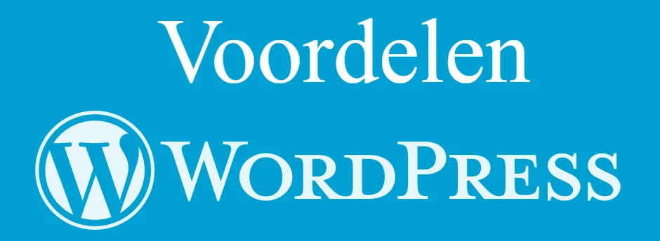Voordelen wordpress webshop
