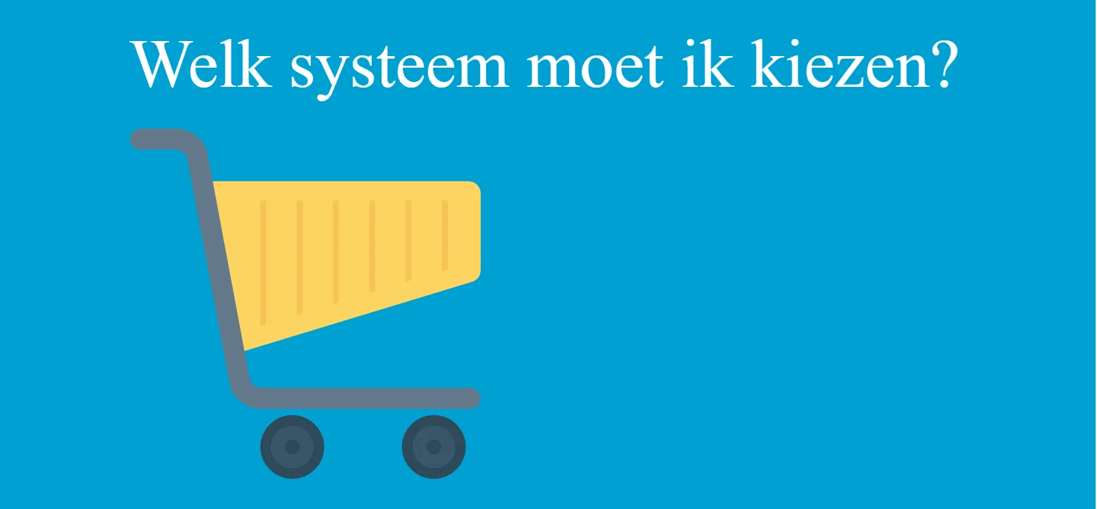 webshop systemen, de beste keuze