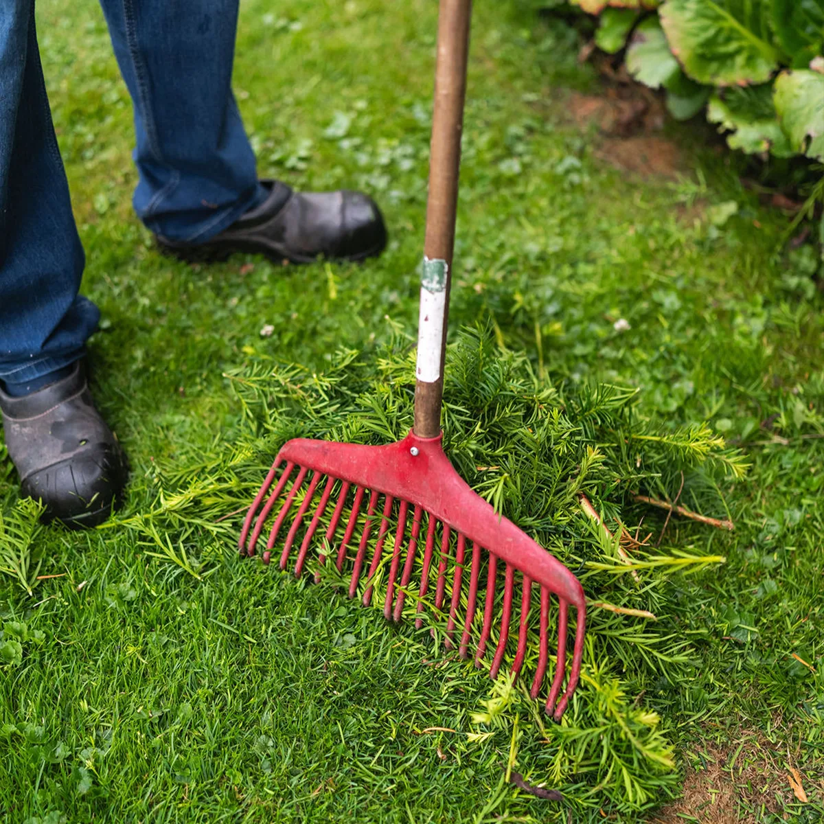 lvs-tuinonderhoud-sprekende-beelden-1-webba-2026